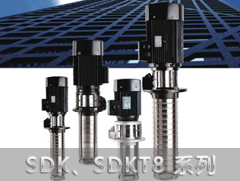 SDK8/SDKT8侵入式多级离心泵